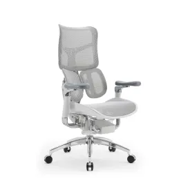 Doro S300 "Gravity-Defying" Ergonomic Chair