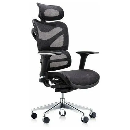 Dorsum - High Back Ergonomic Mesh Chair