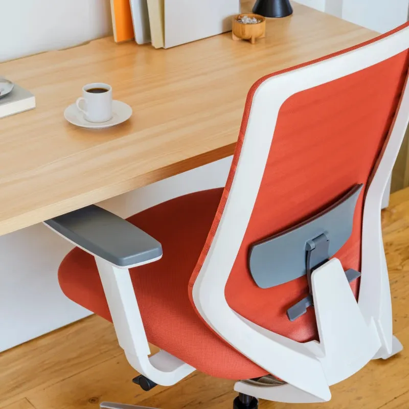 Ergonomic Chair